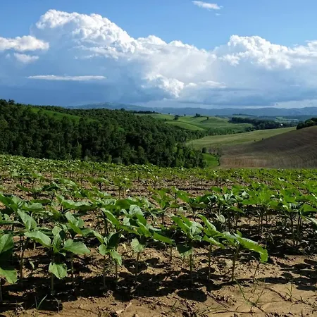 Farmház San Lorenzo